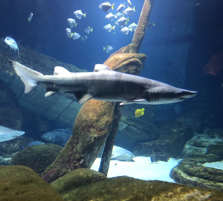 Long Island Aquarium (Riverhead,&nbspNY)